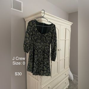 Long Sleeved J Crew Dress